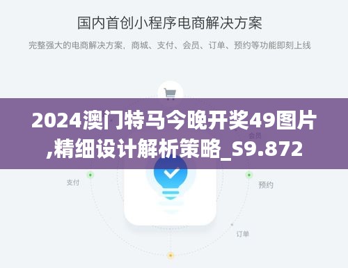 2024澳门特马今晚开奖49图片,精细设计解析策略_S9.872