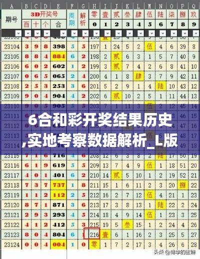 6合和彩开奖结果历史,实地考察数据解析_L版3.120