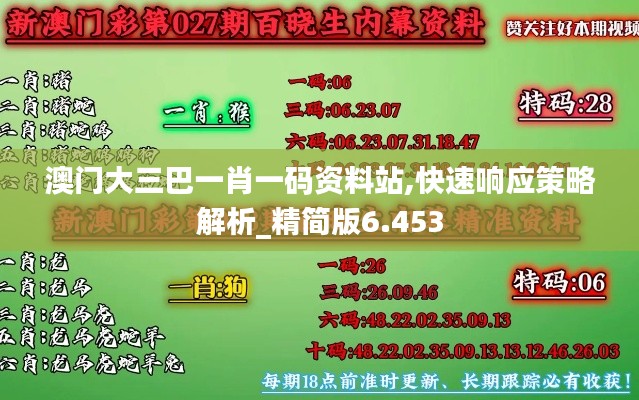 澳门大三巴一肖一码资料站,快速响应策略解析_精简版6.453