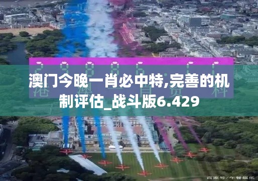 澳门今晚一肖必中特,完善的机制评估_战斗版6.429