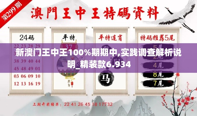 新澳门王中王100%期期中,实践调查解析说明_精装款6.934