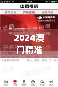 2024澳门精准正板资料免费大全,精细解读解析_10DM10.439