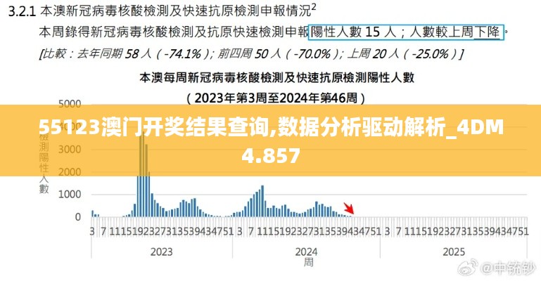 55123澳门开奖结果查询,数据分析驱动解析_4DM4.857