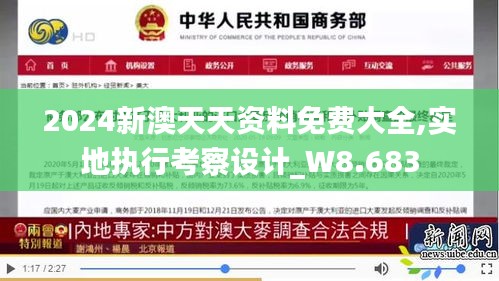 2024新澳天天资料免费大全,实地执行考察设计_W8.683