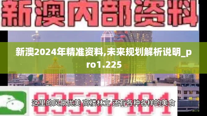 新澳2024年精准资料,未来规划解析说明_pro1.225