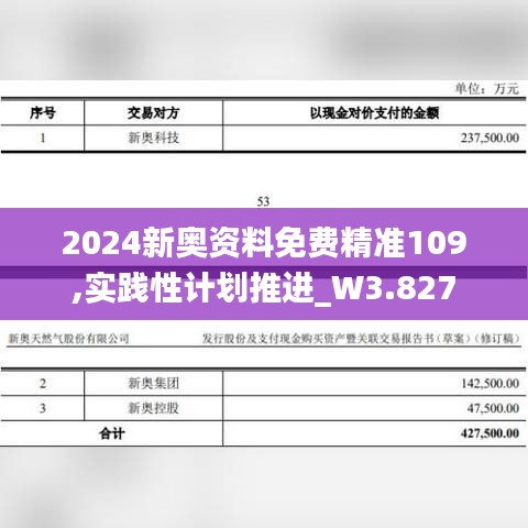 2024新奥资料免费精准109,实践性计划推进_W3.827