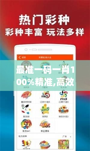 最准一码一肖100%精准,高效计划分析实施_ios7.784