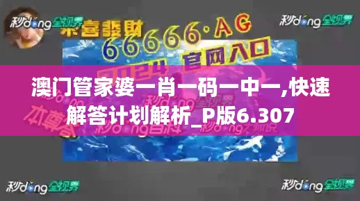 澳门管家婆一肖一码一中一,快速解答计划解析_P版6.307