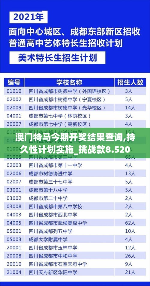 澳门特马今期开奖结果查询,持久性计划实施_挑战款8.520