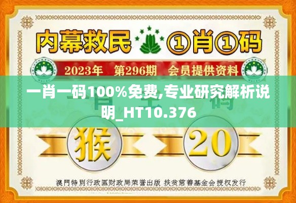 一肖一码100%免费,专业研究解析说明_HT10.376