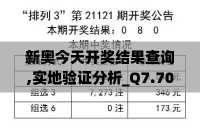 新奥今天开奖结果查询,实地验证分析_Q7.704