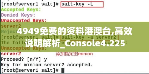 4949免费的资料港澳台,高效说明解析_Console4.225