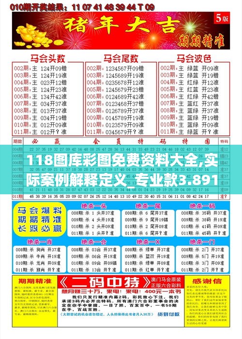 118图库彩图免费资料大全,实际案例解释定义_专业款3.891