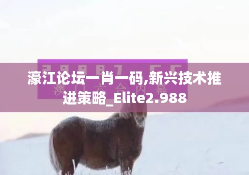 濠江论坛一肖一码,新兴技术推进策略_Elite2.988