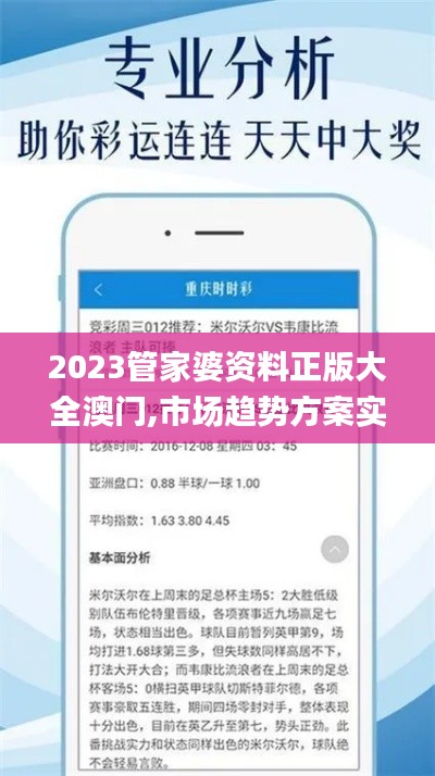 2023管家婆资料正版大全澳门,市场趋势方案实施_复古款10.529