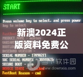 新澳2024正版资料免费公开,全面解读说明_复刻款9.853