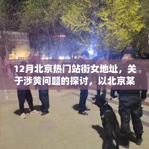 北京某月份热门站街女现象，涉黄问题的深度分析与观点阐述