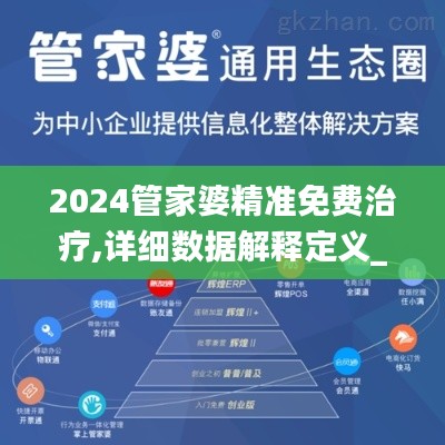 2024管家婆精准免费治疗,详细数据解释定义_eShop9.111