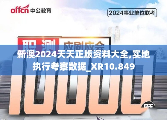 新澳2024天天正版资料大全,实地执行考察数据_XR10.849