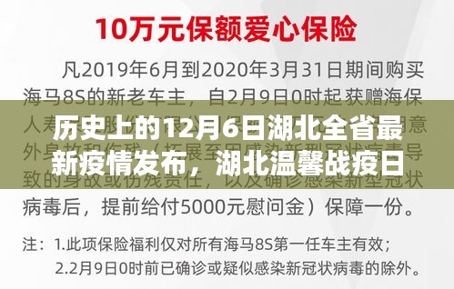 湖北疫情日记，阳光下的希望与陪伴——湖北全省最新疫情发布与温馨战疫纪实（12月6日）