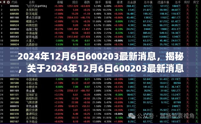 关于2024年12月6日最新消息解读，揭秘600203动态