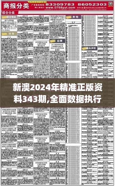 新澳2024年精准正版资料343期,全面数据执行方案_领航款8.924