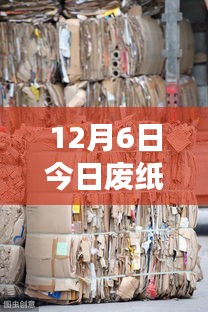 废纸价格最新动态及市场走势分析与预测（12月6日更新）