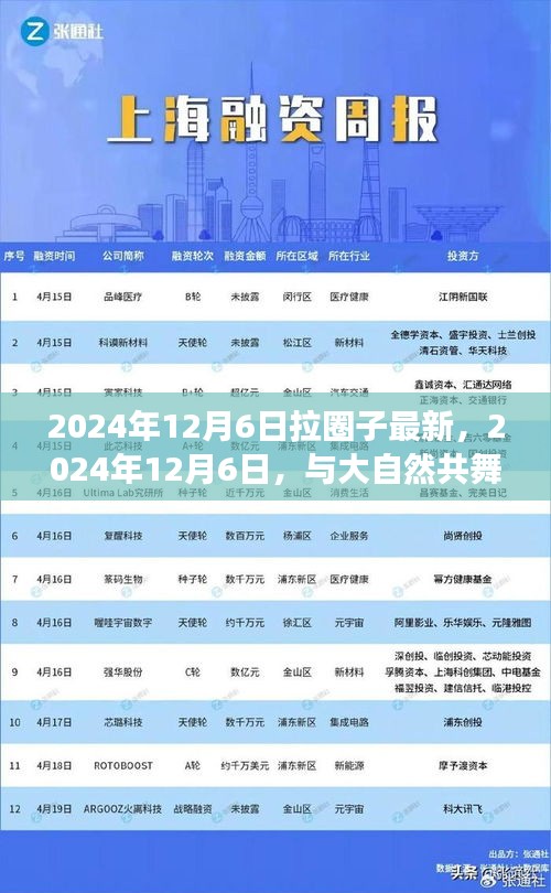 与大自然共舞的日子，一场寻找内心平静的奇妙旅行在2024年12月6日开启新篇章