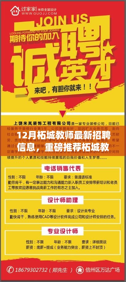 12月柘城教师最新招聘信息，黄金机会等你来挑战，热门职位重磅推荐