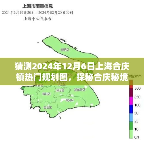 2024年12月8日 第2页