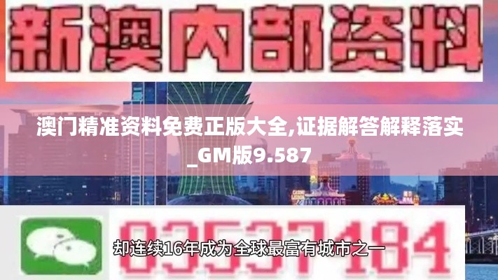 澳门精准资料免费正版大全,证据解答解释落实_GM版9.587