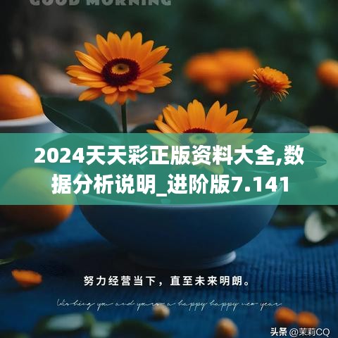 2024天天彩正版资料大全,数据分析说明_进阶版7.141