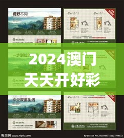 2024澳门天天开好彩正版资料大全343期,经典解释落实_10DM7.355