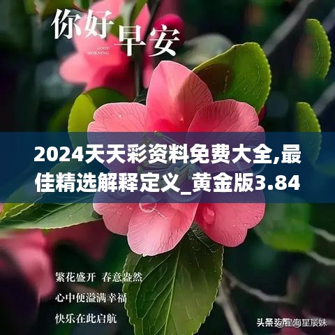 2024天天彩资料免费大全,最佳精选解释定义_黄金版3.849