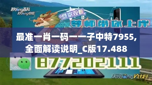 最准一肖一码一一子中特7955,全面解读说明_C版17.488