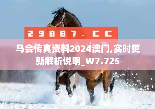 马会传真资料2024澳门,实时更新解析说明_W7.725