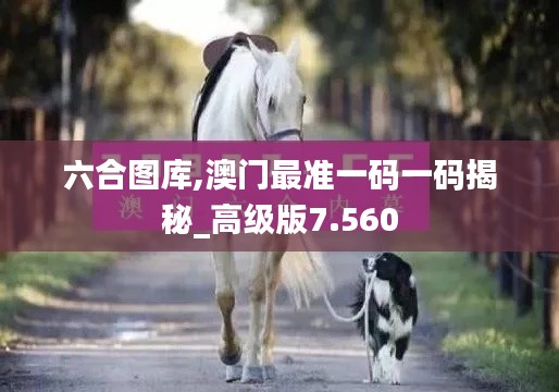 六合图库,澳门最准一码一码揭秘_高级版7.560