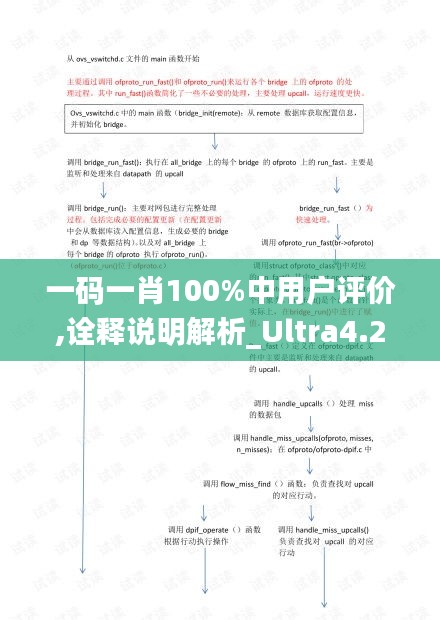 一码一肖100%中用户评价,诠释说明解析_Ultra4.205