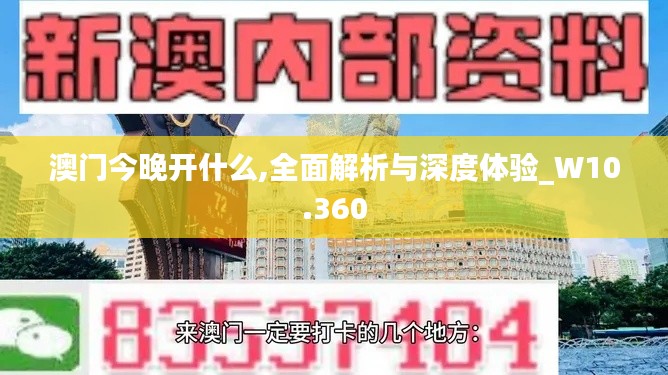 澳门今晚开什么,全面解析与深度体验_W10.360