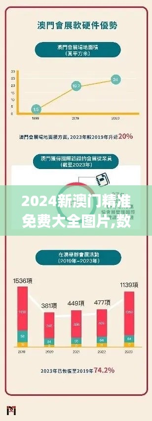 2024新澳门精准免费大全图片,数据驱动方案实施_领航版8.389