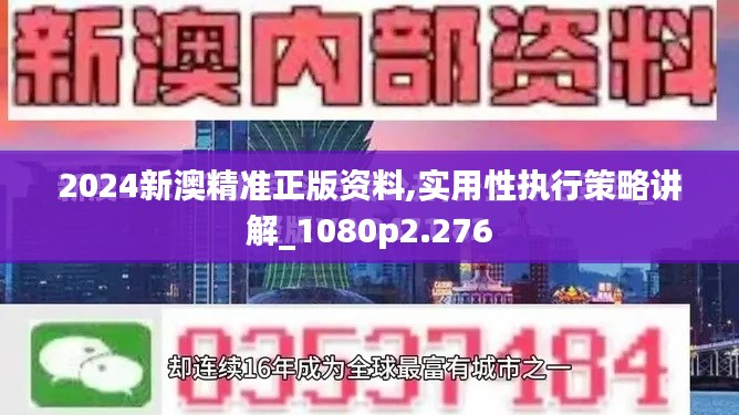 2024新澳精准正版资料,实用性执行策略讲解_1080p2.276