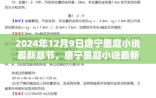 唐宁墨庭小说最新章节揭秘，2024年12月9日精彩探秘