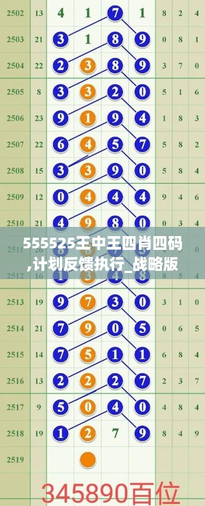 555525王中王四肖四码,计划反馈执行_战略版1.640