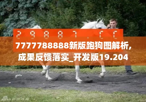 7777788888新版跑狗图解析,成果反馈落实_开发版19.204