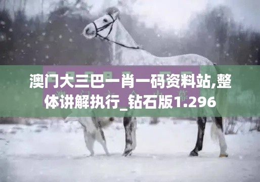 澳门大三巴一肖一码资料站,整体讲解执行_钻石版1.296