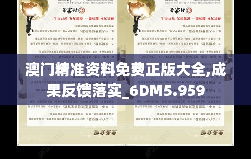 澳门精准资料免费正版大全,成果反馈落实_6DM5.959