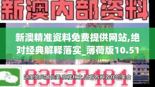 新澳精准资料免费提供网站,绝对经典解释落实_薄荷版10.515