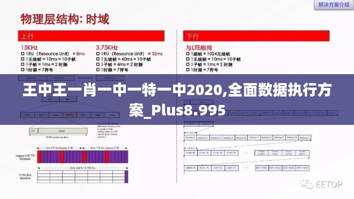 王中王一肖一中一特一中2020,全面数据执行方案_Plus8.995