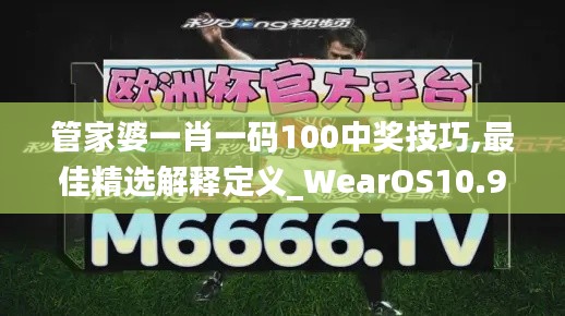 管家婆一肖一码100中奖技巧,最佳精选解释定义_WearOS10.992