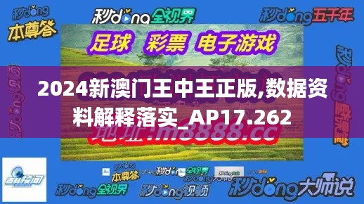 2024新澳门王中王正版,数据资料解释落实_AP17.262